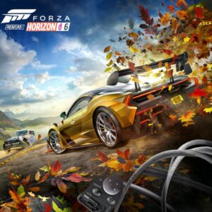 Jak podłączyć kierownice do forza horizon 5